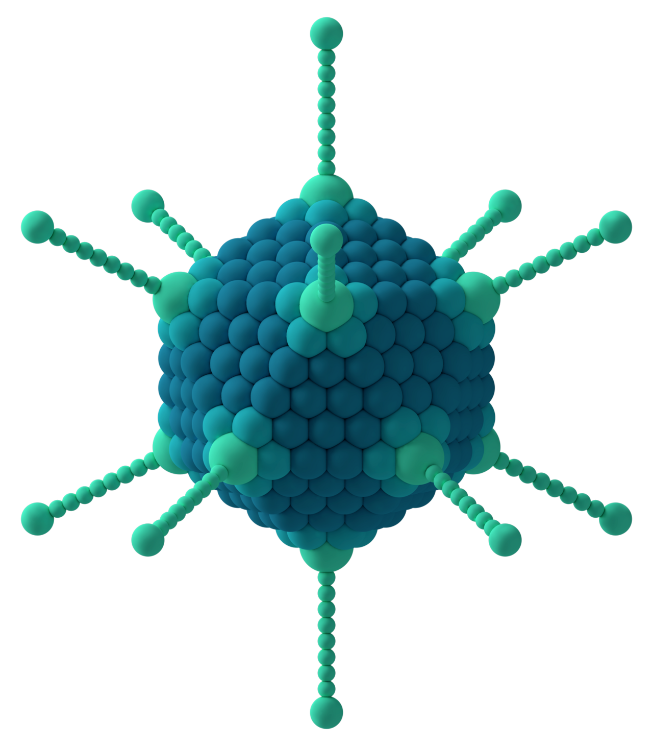 Adenovirus — an icosahedral virus whose protein shell has the geometry of a Platonic Solid