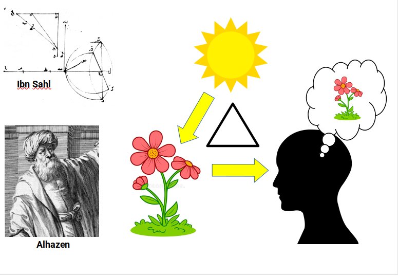 Islamic Golden Age contributions to optics and the study of light