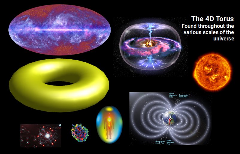 The torus shape recurring at multiple scales throughout the universe