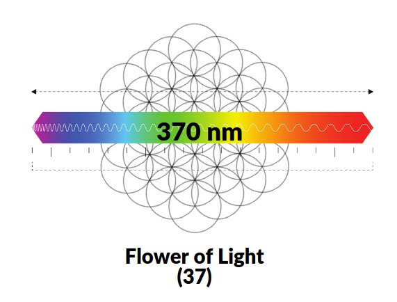 The Flower of Light — 37 circles with visible light spectrum