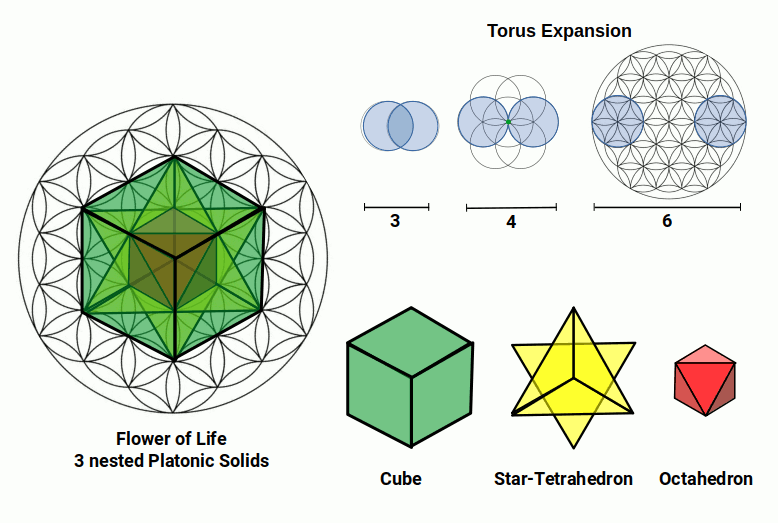 Three nested Platonic Solids within the Flower of Life