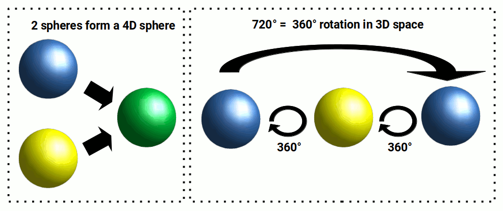 Rotation of a 4D sphere showing the 720-degree symmetry of quantum spin