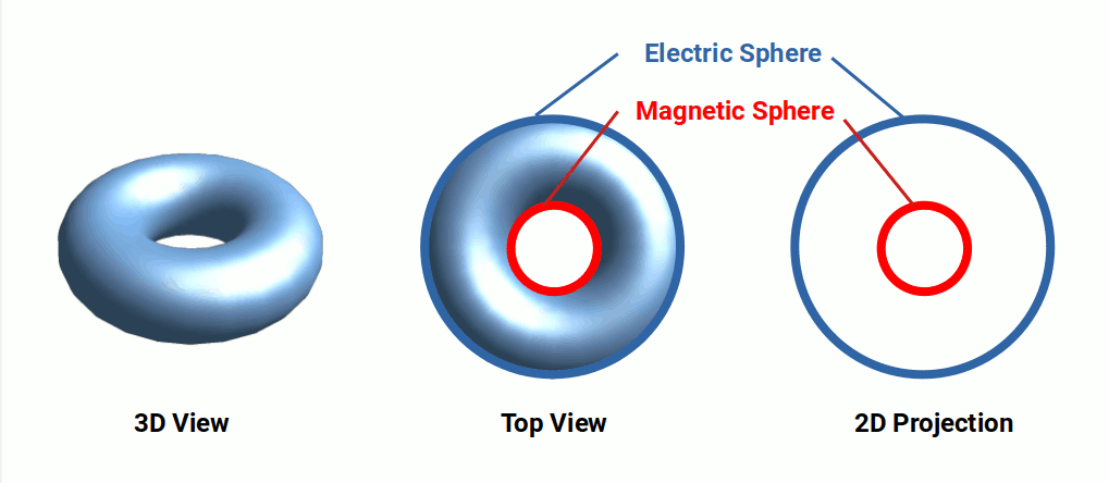 Two concentric circles of radius 1 and radius 3, representing the 4D torus cross-section associated with the light cycle