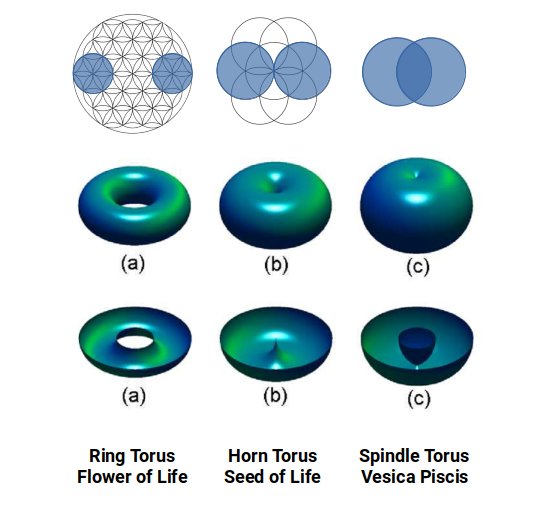 Diagrams of the three types of torus: ring torus, horn torus, and spindle torus